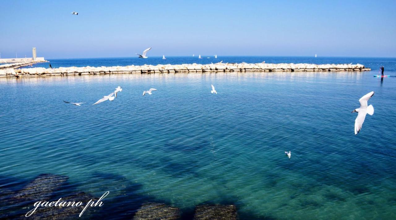 Putignani 210 Apartment Bari Kültér fotó